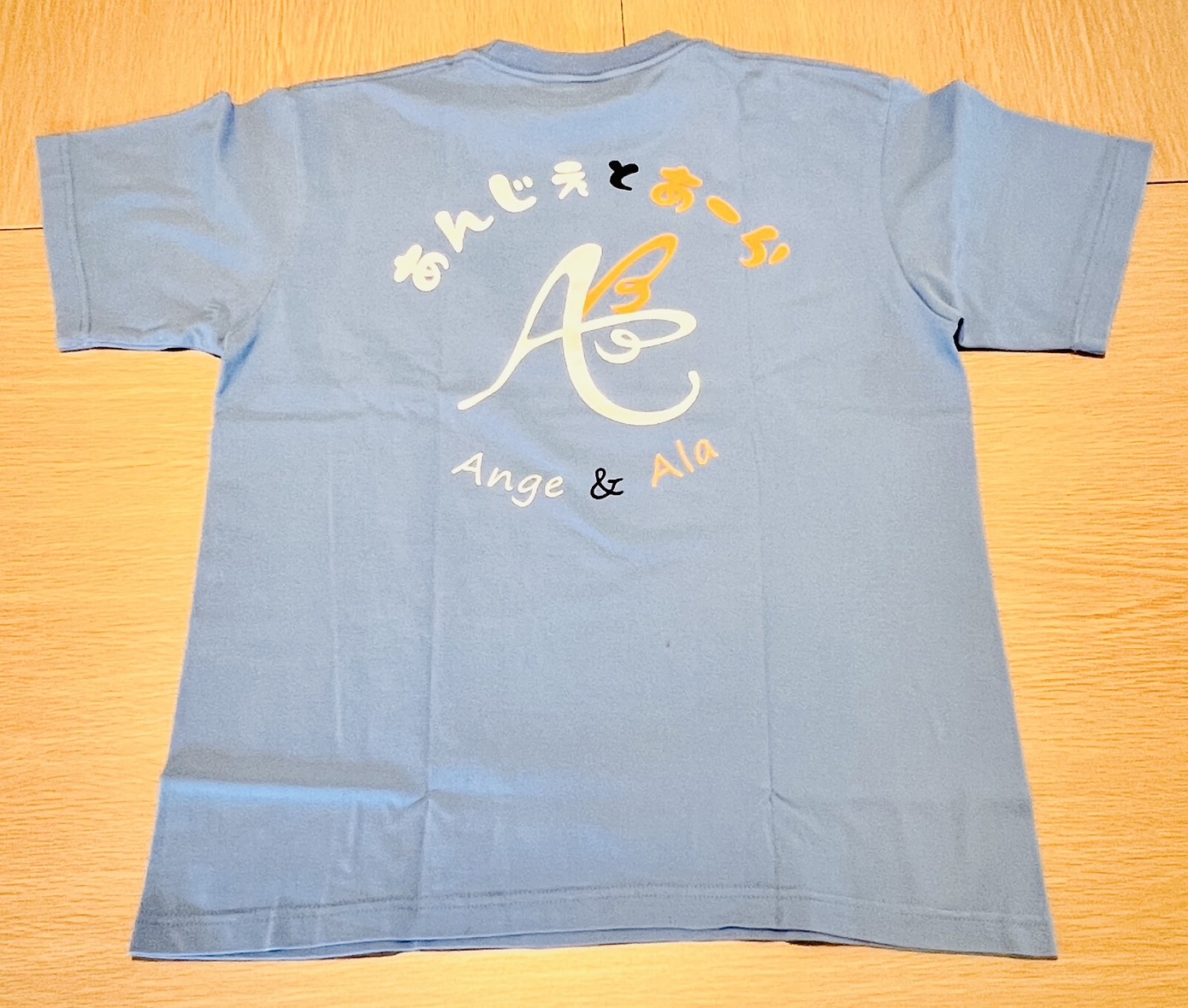 Tシャツ(ブルー) Mサイズ
